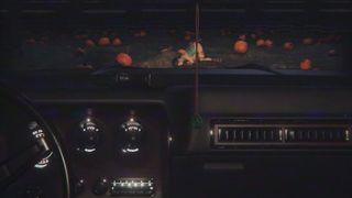 Pumpkin field – Wildeerstudio