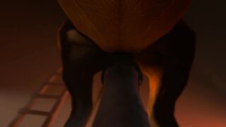 Horse vídeo 15