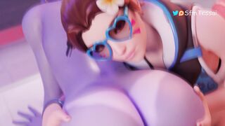 new anim – sfmTessai