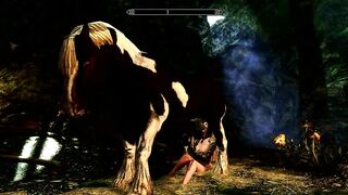 Horse video 79