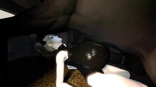 Horse video 84 – Harley fuck boobs