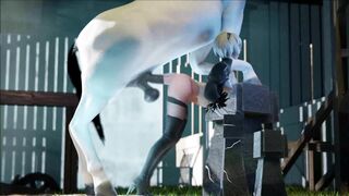 Horse video 113 – 2B