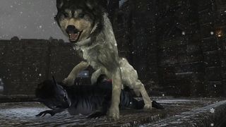 Khajiiti Teen Destresses Shipyard Mutts