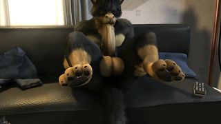 Xander Animation – H0rs3