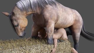 Horse Video – 172