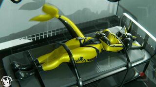 Packed [Hazmat Suit] – Evilbanana