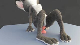 Judy Anal Plug [adamb/fluffy]