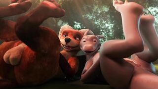 Angus and Cookie – Crittermatic