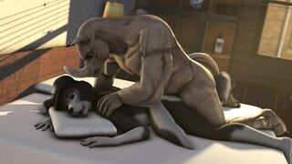 Finn Getting Boned – BillyNR