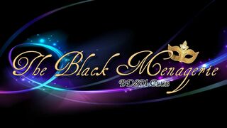 Black Menagerie – Introduction