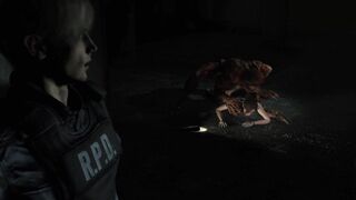 Claire and Leon no Bullets