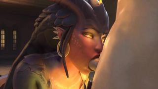 Dragon Symmetra Blowjob – NoduSFM