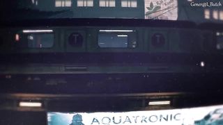 Elizabeth Subway Trouble – Generalbutch