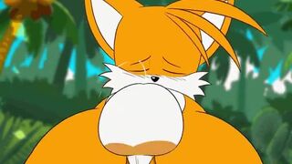 Tails Riding [kingofacesx]