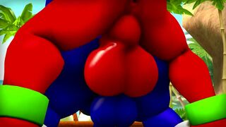 Sonic x Knuckles [Wector]