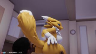 Renamon ride