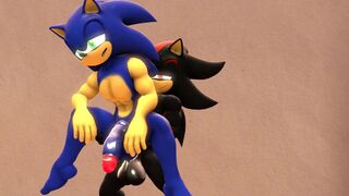 Sonic and Shadow Hot Sex [Mtymac]