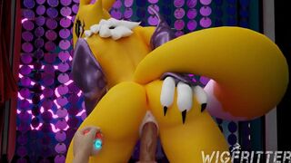 I choose you, Renamon! 1 – Wigfritter