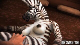 Last exit to Zahira’s Paradise