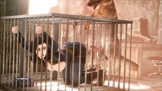 Dogs HMV – Knotty girls