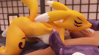 Renamon Blowjob – Furromantic