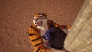 Lioness dominates wolf