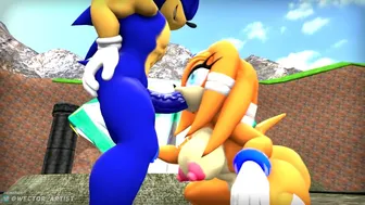 Sonic and Tikal