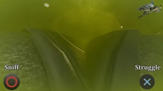 Ballerina Bubble Butt Gas & Bash – POV [ElSharkoDiablo]