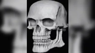 DANCE MONKI- PMV/HMV