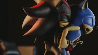 Sonic and Shadow