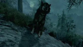 The Druidess – Trailer