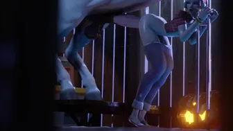 D.va Crusier x Horse