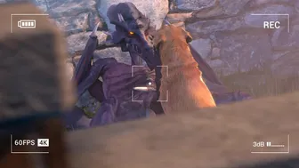 Ridley gets recorded fooling around with Labrador