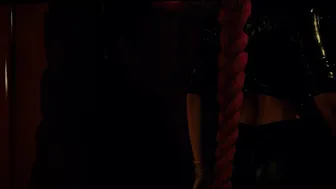 Shoe Sex Party With Harley Quinn (PV)