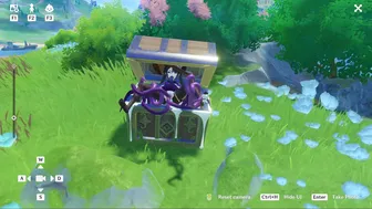 Exquisite Chest Mimic Mod