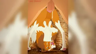 Human Male x Lassie [Paloma-Paloma]