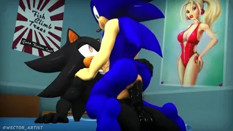 Sonic Riding Shadow