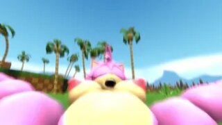 Amy Rose POV