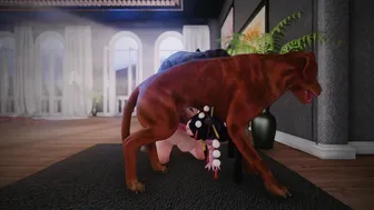 A small collection of animated pictures