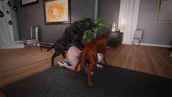 2B and Dogs