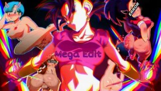 Mega Edit