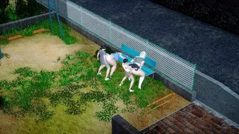 historia de familia 22