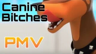 Canine Bitches (PMV)