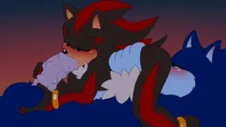 Shadow and Werehog