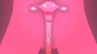Aerith’s pussy licked by tentacle