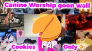 Feral Gooner Cookie worship Wall [Anthro on feral]