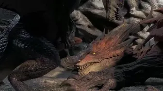 Dragons fucking