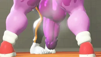 [Megaswitchsfm] Amy, Wave and Tangle 1-A