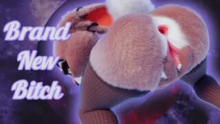 Brand New Bitch – Judy Hopps PMV