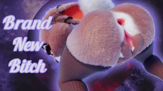 Brand New Bitch – Judy Hopps PMV